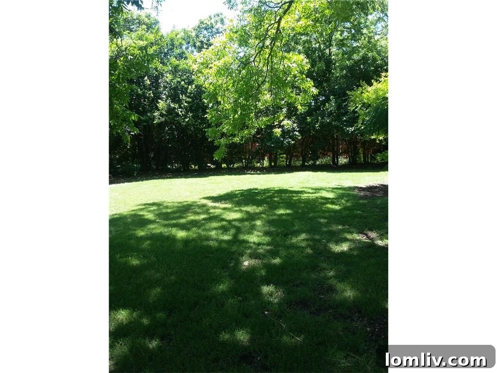 Spacious backyard of the 655 Peavy Road property, showing natural greenery and potential