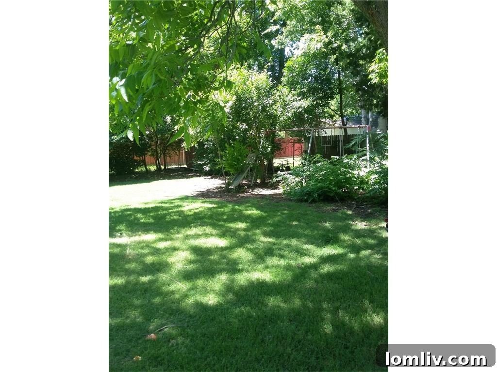 Older, potentially decaying swingset in the backyard, indicating needed outdoor maintenance and removal