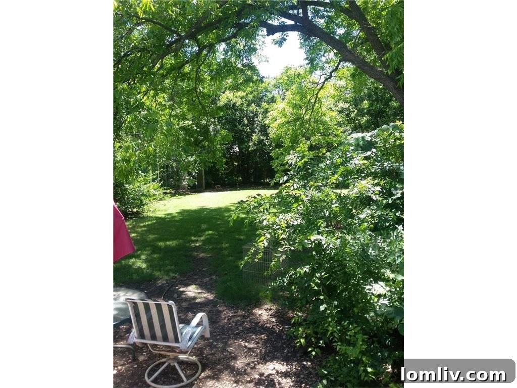 Simple outdoor patio area in the backyard, ready for revitalization and staging
