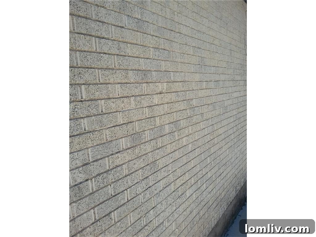 Close-up of the robust brick exterior wall of the Lake Highlands home at 655 Peavy Road