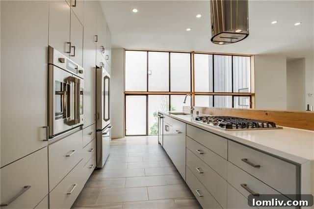 Modern kitchen with minimalist design at 3750 Colvin Ct.