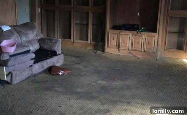 Dez Bryant and Royce West after property damage allegations