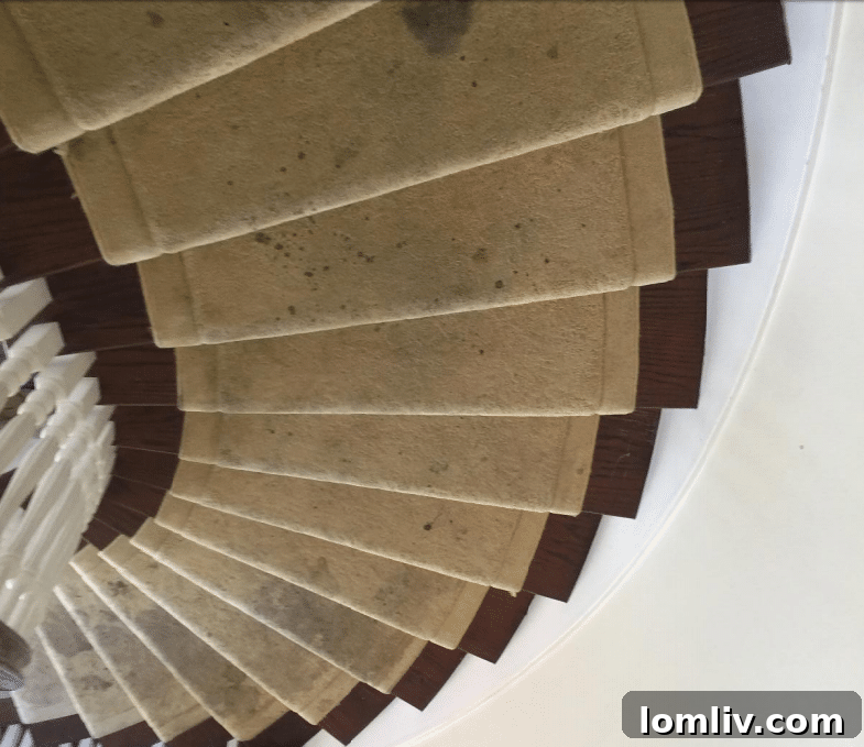 Court exhibit showing property damage estimates in Royce West vs. Dez Bryant lawsuit