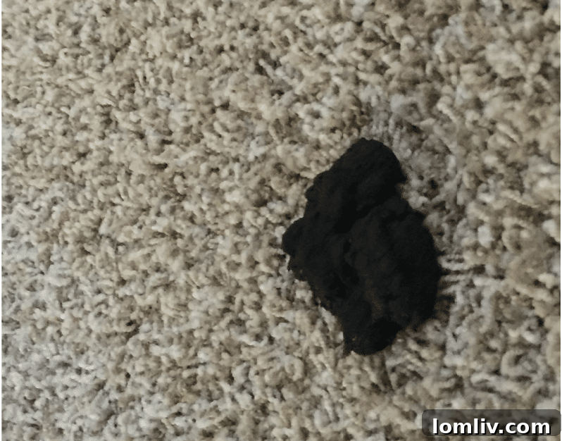 Further court documents detailing repairs needed at 1212 Regents Park Ct.