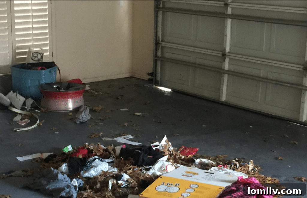 Legal filing outlining Senator West's claims against Dez Bryant for property damages