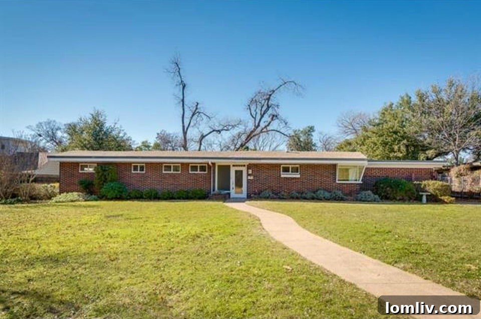 11023-Pinocchio-Front