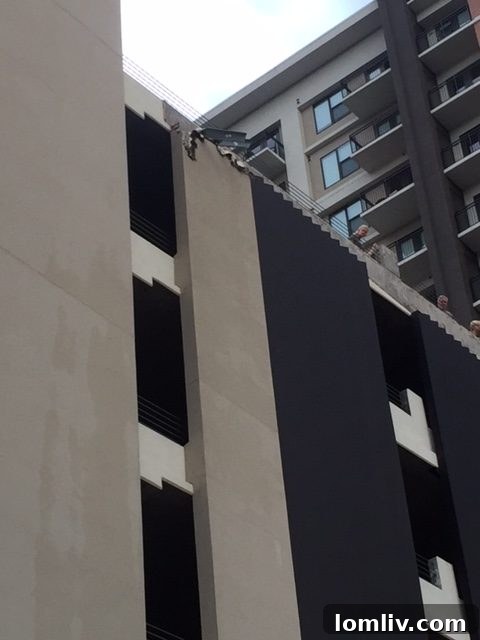 An interior view of a modern living space at Taylor Luxury Apartments, featuring contemporary design