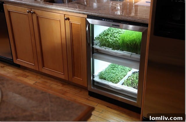 Urban Cultivator Interior View A