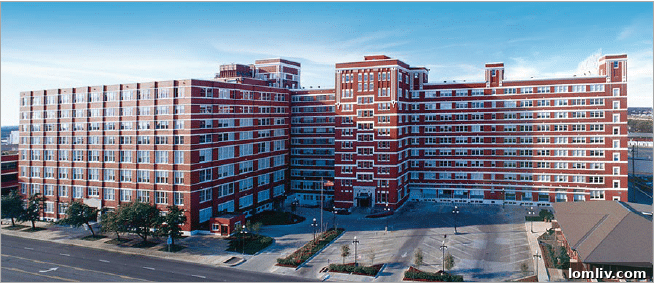 Screen-Shot-2016-07-26-at-15.11.01