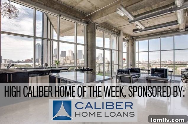 Cedars Condo Boasts Breathtaking Downtown Dallas Views 2 The Beat Lofts Dallas Skyline View