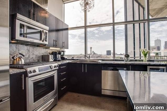 Cedars Condo Boasts Breathtaking Downtown Dallas Views 6 The Beat Lofts Unit 908 Stainless Steel Kitchen