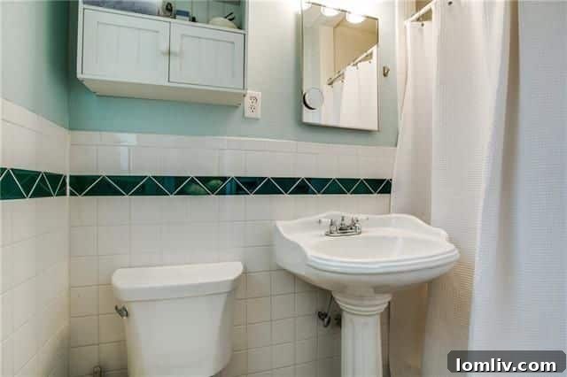 Herb garden area in the backyard