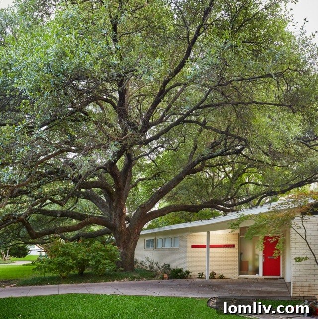 Interior view of The Y House, showcasing vaulted ceilings and natural light