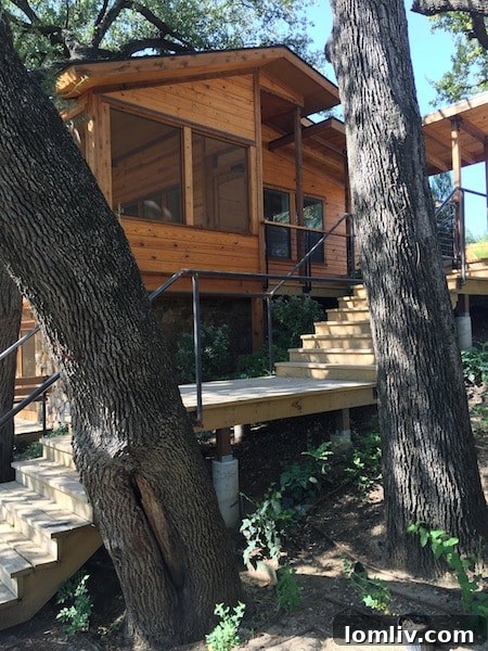 Louis Lambert's Trinity River Home: A Masterpiece of Site-Specific Design