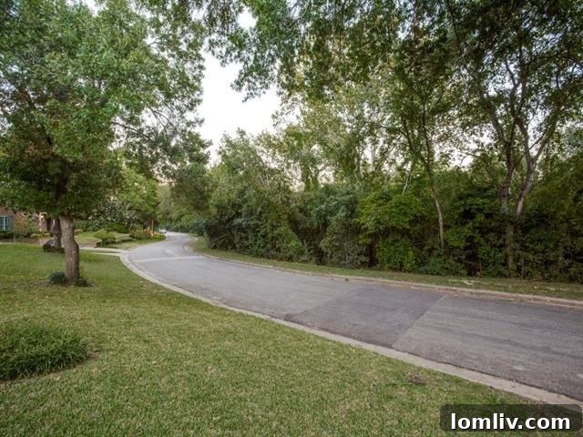 Serene Greenbelt Views from the Front Porch of Dallas Home