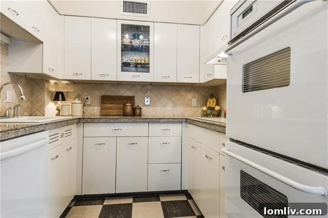 Bandera's Pink Wall Condos: A Lucrative Steal 4 6151 Bandera Avenue Unit C Kitchen - Before Renovation