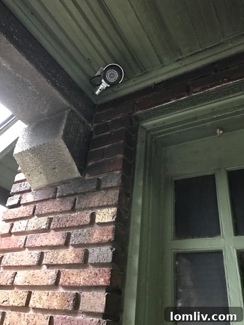 A detailed shot of the Bianchi House, emphasizing its unique architectural features and design elements.