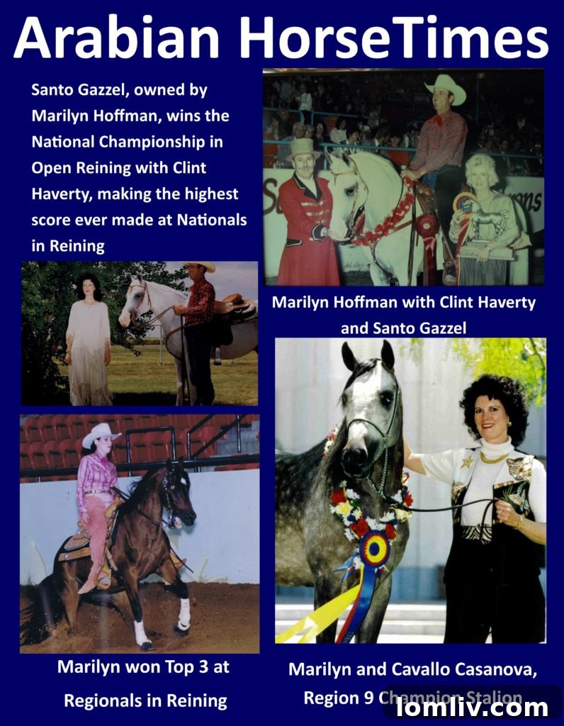 Tillerson Takes the Reins: Buys Charles Wylys Legendary Argyle Horse Ranch 3 Arabian-Horse-Times-796x1024