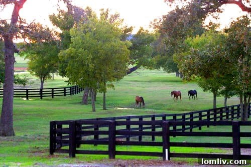 Tillerson Takes the Reins: Buys Charles Wylys Legendary Argyle Horse Ranch 7 StarPast