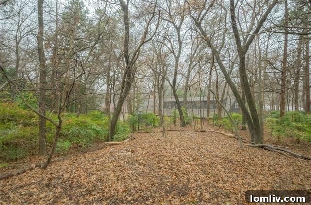 Dallas Open House Spotlight: A Masterpiece Craftsman in Junius Heights 27 Spacious wooded backyard view from interior at 4626 Dove Creek Way