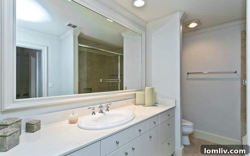4415 Lively Ln Preston Hollow Master Bathroom Closet