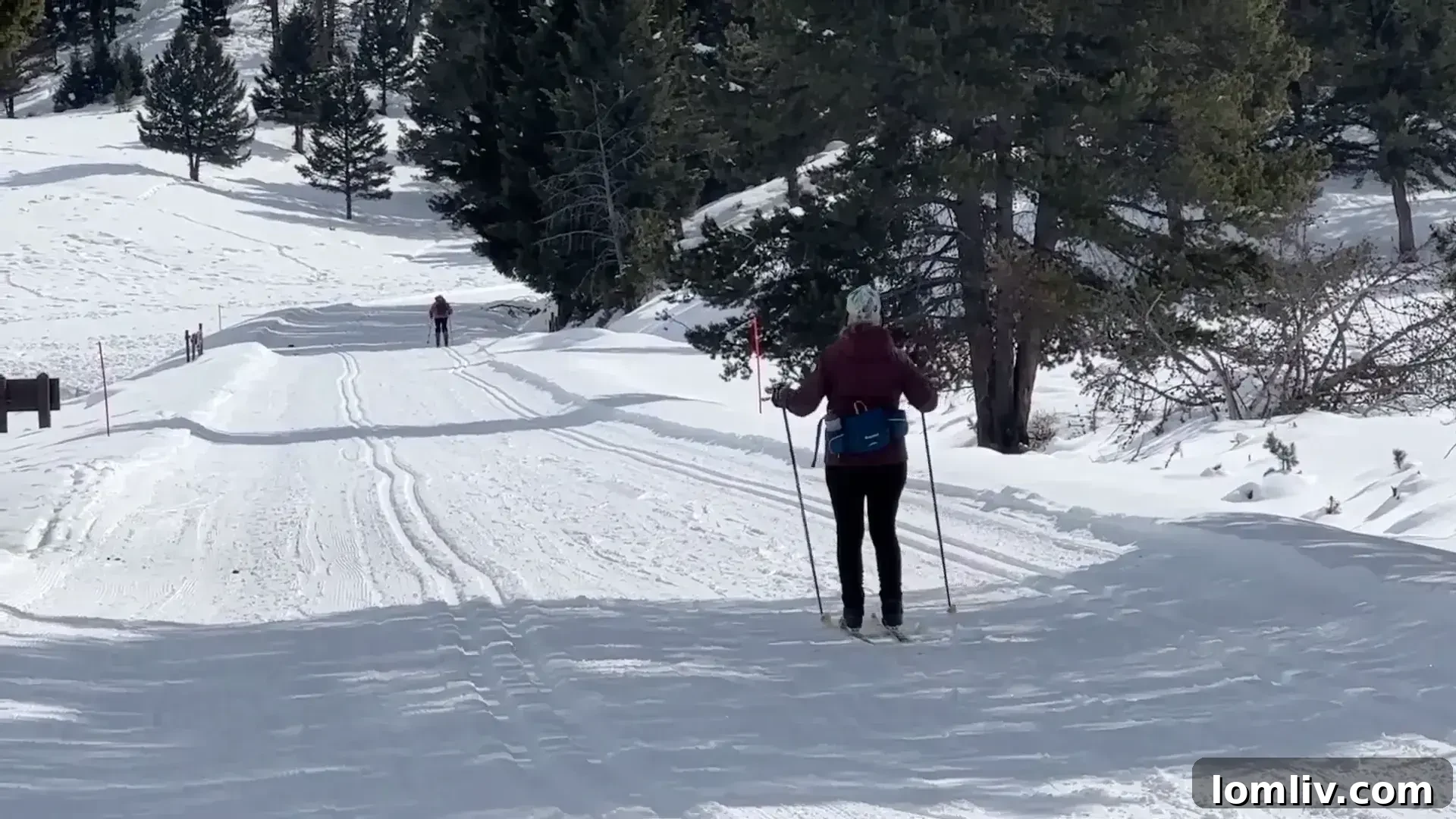 Yellowstone's Grandeur: Explore a Wild Oasis for Nature Enthusiasts 5 Snow-covered landscape in Yellowstone National Park