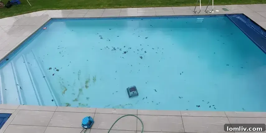 Expert pool cleaners ensure perfect water chemistry for a safe swimming environment.