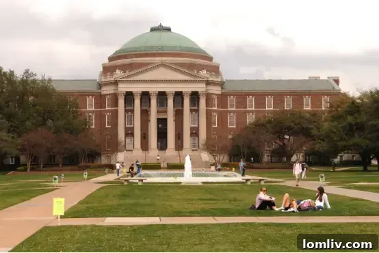 Dallas Unveiled What Attracts Students 2 A view of the Dallas skyline at sunset, with modern buildings reflecting the warm light, illustrating the city's developed economy and vibrant urban life.