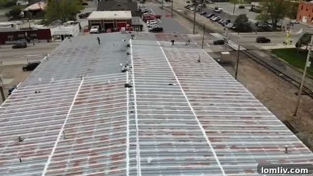 Sunny Los Angeles cityscape showing various rooftops under a clear sky, illustrating the intense sun exposure faced by roofs in the region.