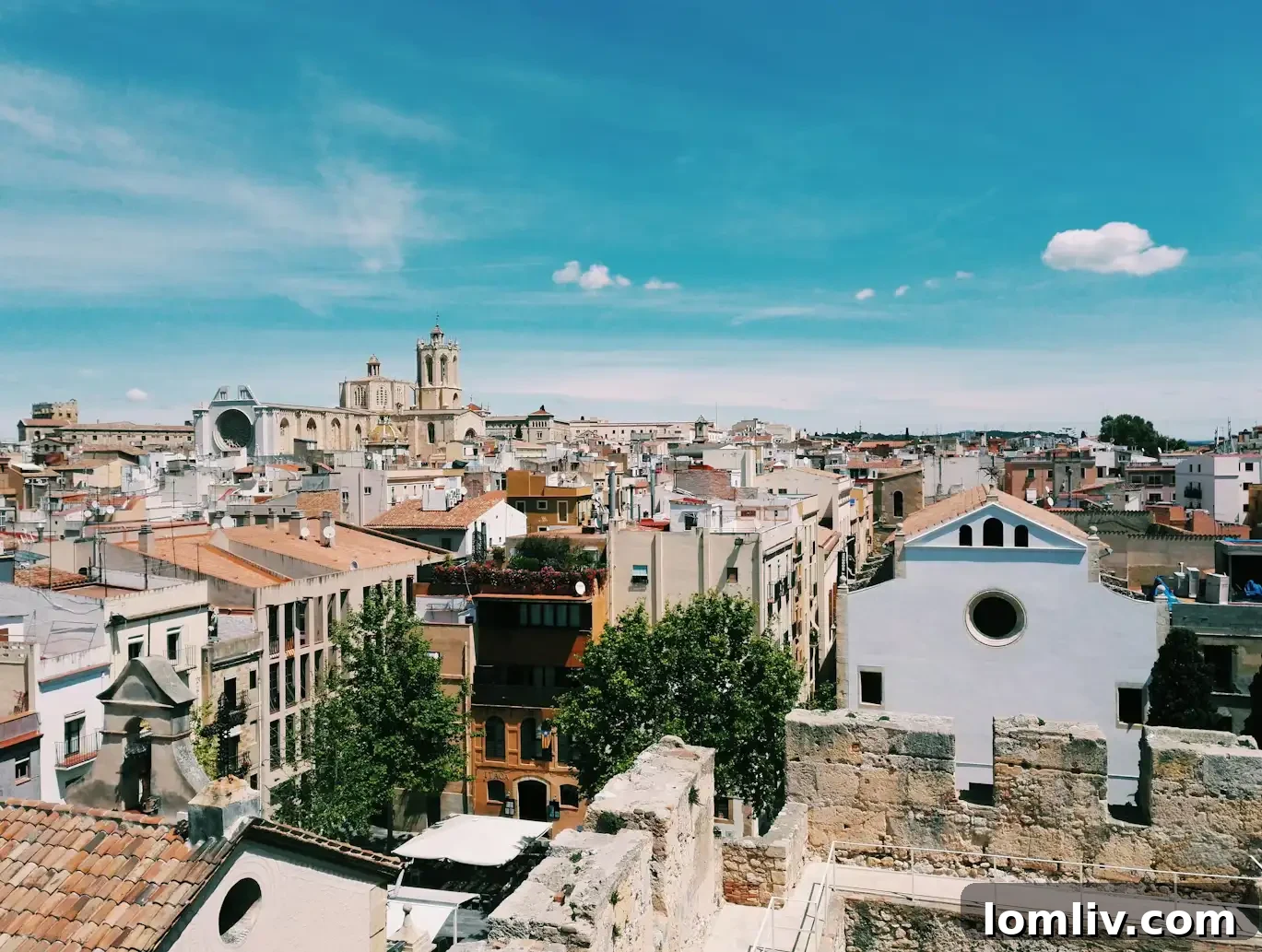 Diverse roofing structures on residential homes