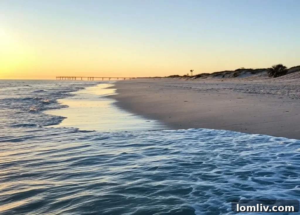 Coastal Charms: Best East Coast Locations for Your Vacation Home 12 Corolla, North Carolina