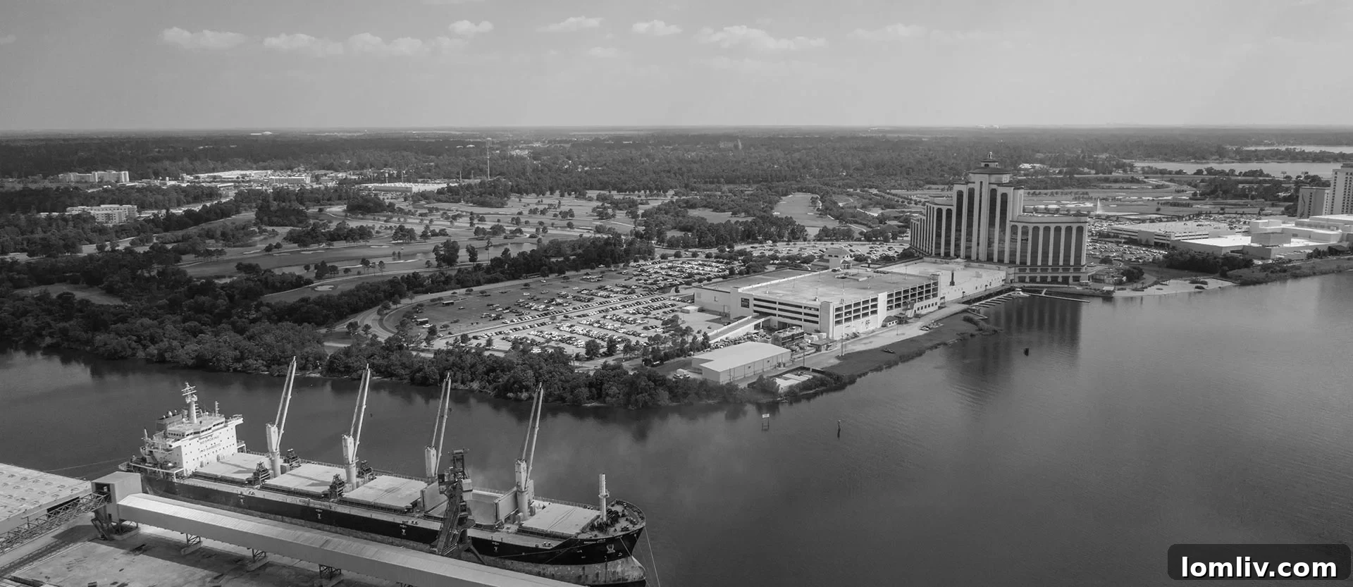 Lake Charles cityscape with modern buildings and waterways, symbolizing economic growth and vibrant life.
