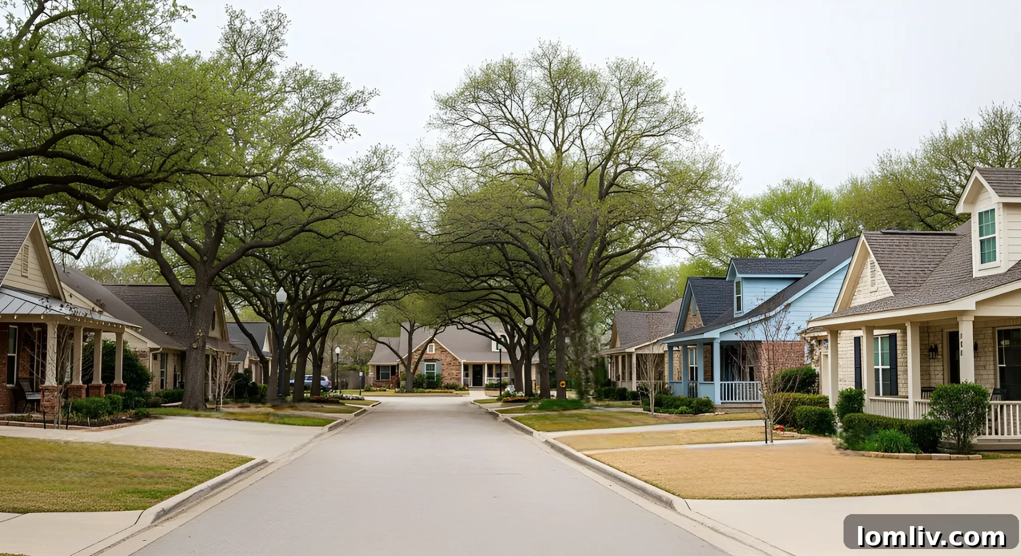 Quiet suburban street