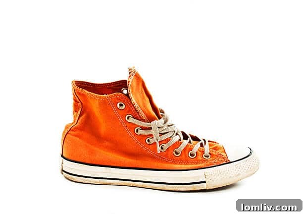 featured 327286