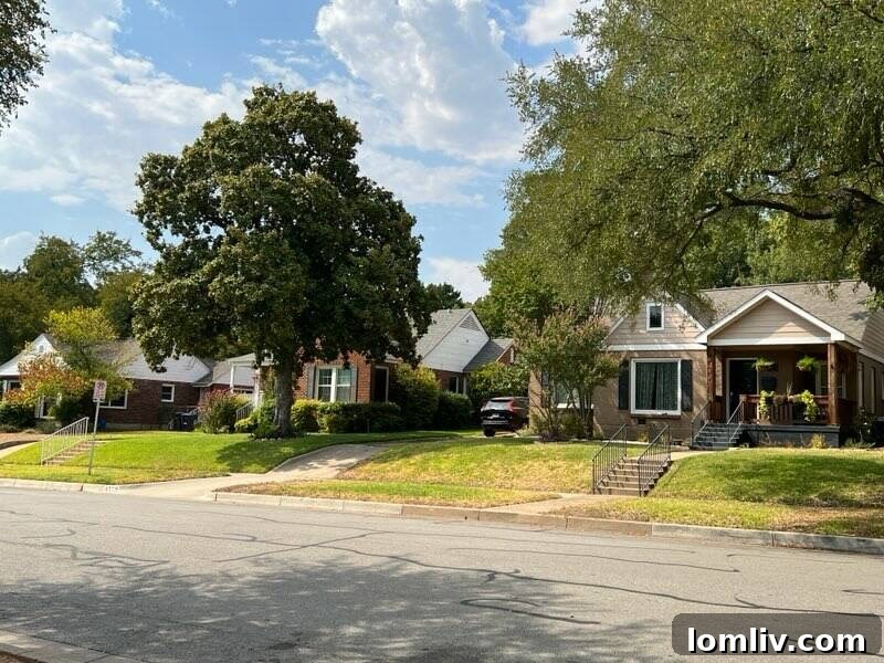 featured 329189
