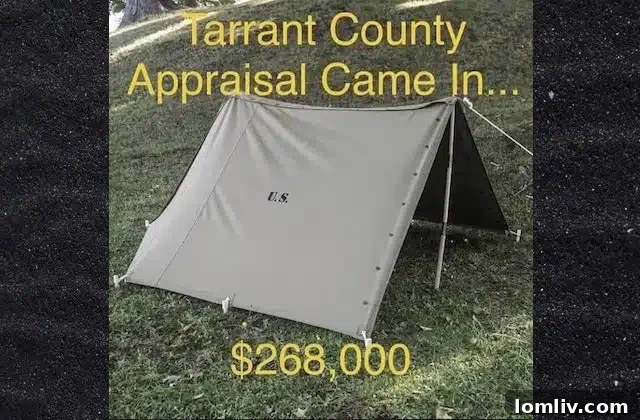 featured 408786