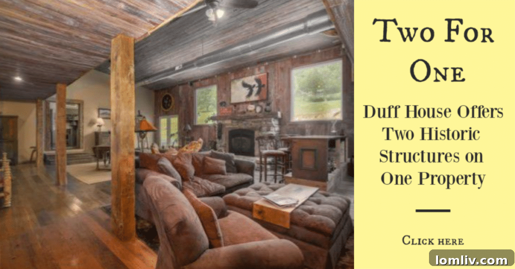 featured 411014