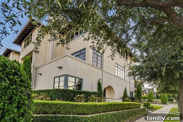 featured 419298