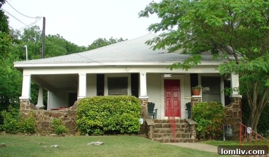 featured 419528