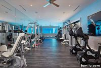 Transformative Luxury Home Gyms for Optimal Wellness