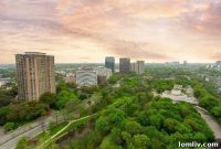 From Plunge to Penthouse: My Market Story