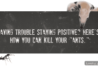 Coach’s Corner: Conquer Negativity, Crush Your ANTs