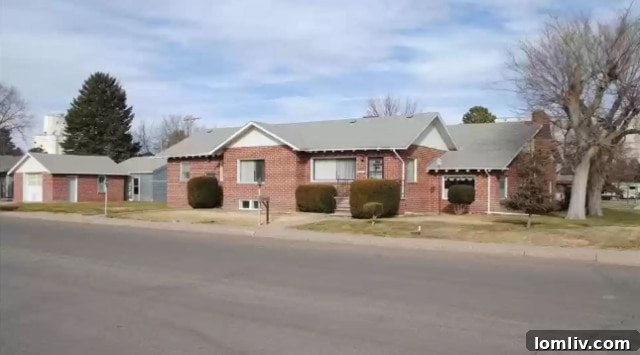 featured 441962