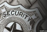 Texas Home Security: Conflicting Data, Diverse Views