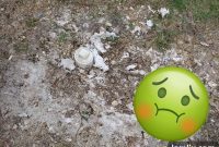Home Inspection Disasters: When Logic Left the Building