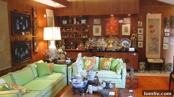 featured 461228