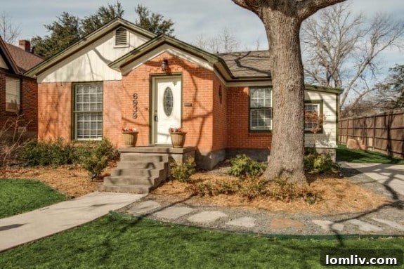 featured 461381