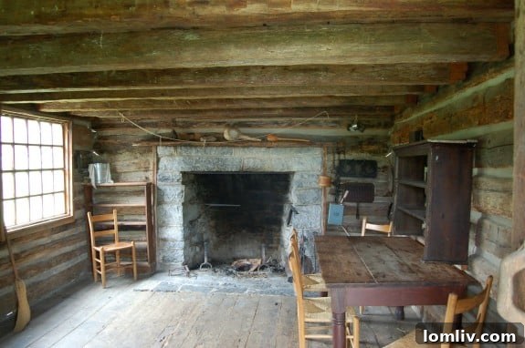 featured 461980