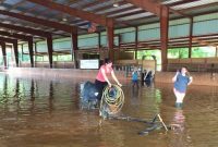 Heavy Rain Drowns Hopes for Ranchers and Horse Property Agents