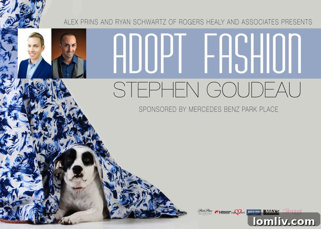 featured 476521